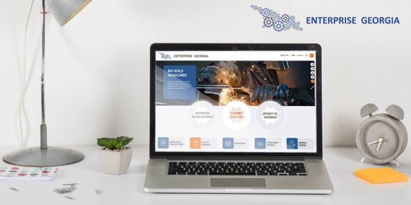 Enterprise Georgia's Website Design and Development